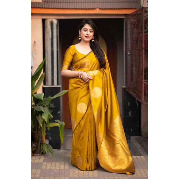 Gold Banarasi Silk All Over Gold Zari Weaved Circle Boota Borderless Saree